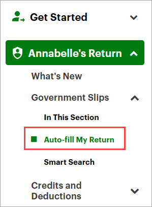 Auto-fill My Return is highlighted on the left navigation menu under the Government slips tab.