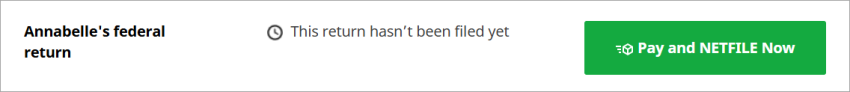 The Pay and NETFILE Now button is shown next to the User’s federal return section.